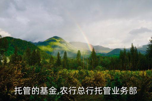 農行托管的基金,農行總行托管業務部