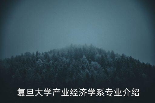  復旦大學產業經濟學系專業介紹