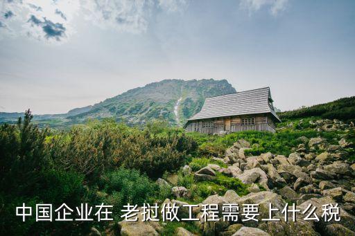 中國企業在 老撾做工程需要上什么稅