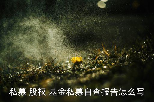 大醫博愛股權投資基金
