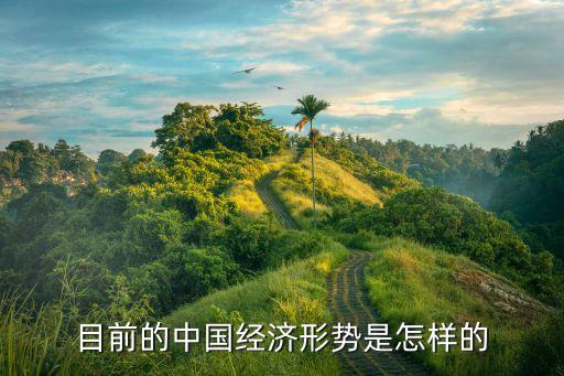 目前的中國經濟形勢是怎樣的