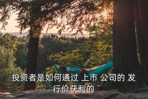 上市公司發行股票怎么賺錢,買什么樣的上市公司股票持有容易賺錢