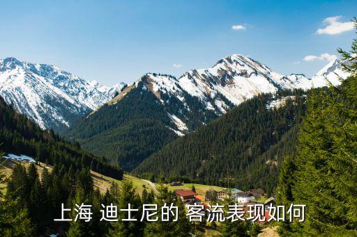  上海 迪士尼的 客流表現如何