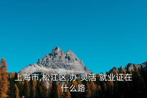 上海市,松江區,辦 靈活 就業證在什么路