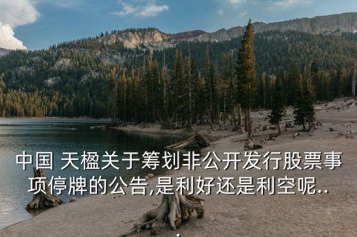 中國 天楹關于籌劃非公開發行股票事項停牌的公告,是利好還是利空呢...
