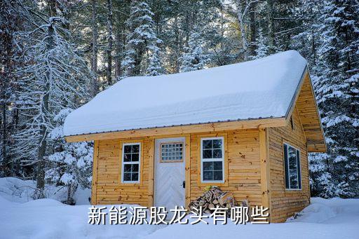秦皇島市開發區天威保變公司
