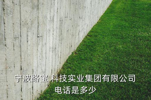  寧波路寶 科技實業集團有限公司 電話是多少