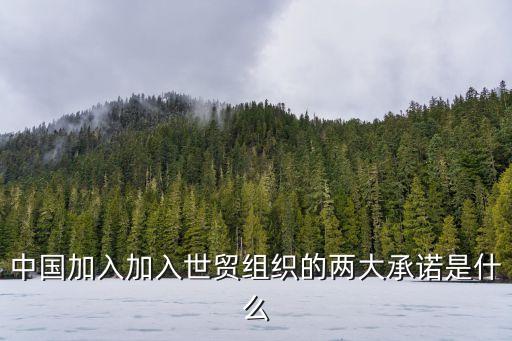 中國加入加入世貿組織的兩大承諾是什么