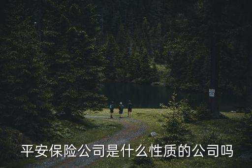  平安保險公司是什么性質的公司嗎