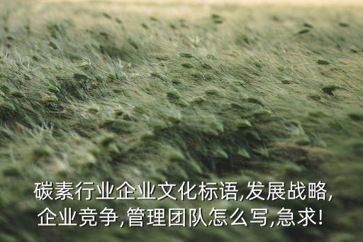 江西寧新碳素有限公司,上海寧新眾暢經濟發展服務有限公司