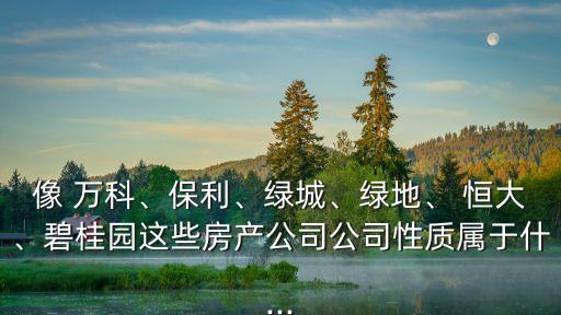 像 萬科、保利、綠城、綠地、 恒大、碧桂園這些房產公司公司性質屬于什...