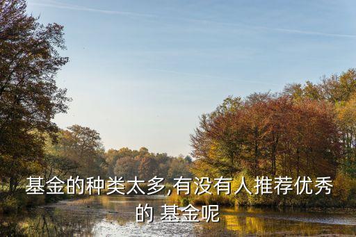  基金的種類太多,有沒有人推薦優秀的 基金呢