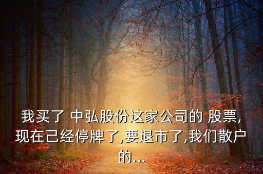 我買了 中弘股份這家公司的 股票,現在己經停牌了,要退市了,我們散戶的...