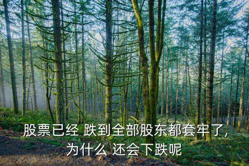  股票已經 跌到全部股東都套牢了,為什么 還會下跌呢