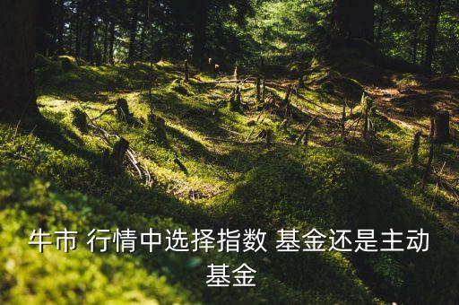 牛市 行情中選擇指數 基金還是主動 基金