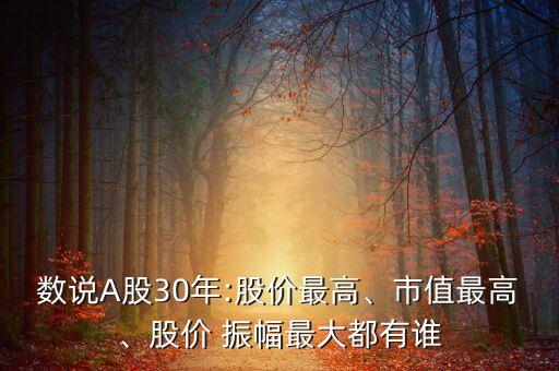 數(shù)說A股30年:股價最高、市值最高、股價 振幅最大都有誰