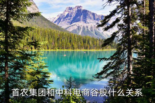 紅嶺創投和三元公司重組