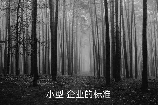 小型 企業的標準