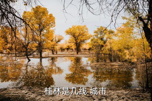 中國哪個四線城市沒有電影院,中國四京是哪個城市現在的