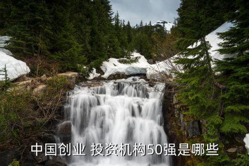 中國創業 投資機構50強是哪些