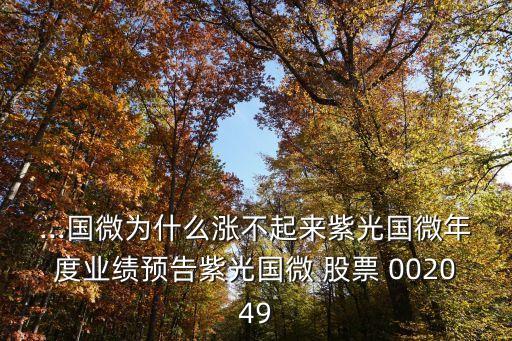 ...國微為什么漲不起來紫光國微年度業績預告紫光國微 股票 002049