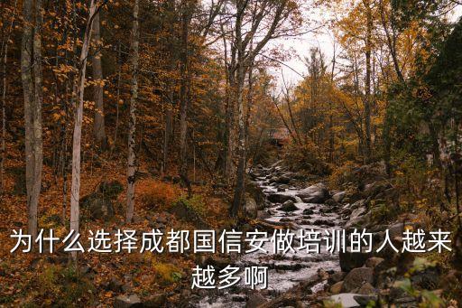 中國網安公司三十所