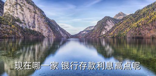 現在哪一家 銀行存款利息高點呢