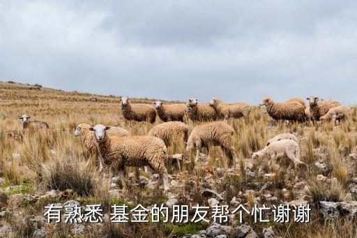 基金如何放大,現在基金行情如何