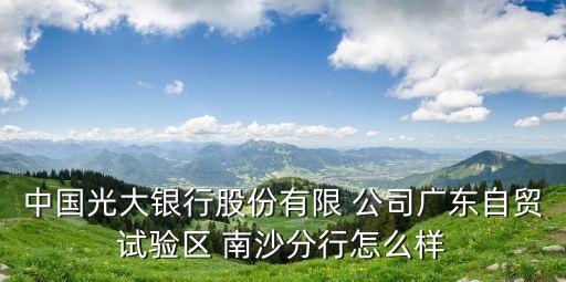 中國光大銀行股份有限 公司廣東自貿試驗區 南沙分行怎么樣