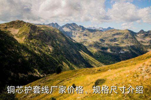銅芯護套線廠家價格、規格尺寸介紹