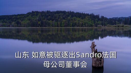 山東 如意被驅逐出Sandro法國母公司董事會