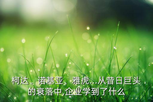 2014年雅虎公司的年營業額