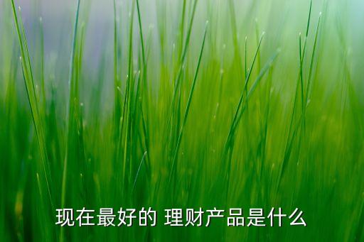 現在最好的 理財產品是什么