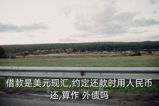 借款是美元現匯,約定還款時用人民幣還,算作 外債嗎