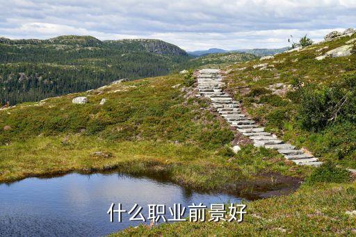 什么職業前景好
