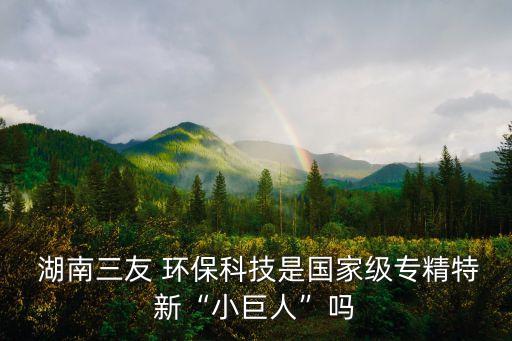  湖南三友 環保科技是國家級專精特新“小巨人”嗎