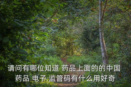 中國藥品電子監管碼培訓,藥品電子監管碼是一盒一碼嗎