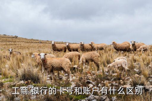 工商 銀行的卡號和賬戶有什么區別