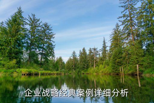企業戰略經典案例詳細分析
