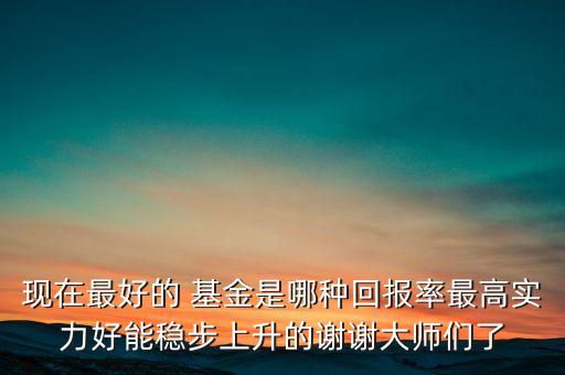 現在最好的 基金是哪種回報率最高實力好能穩步上升的謝謝大師們了