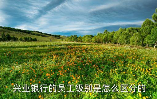  興業銀行的員工級別是怎么區分的