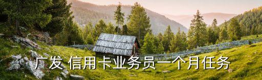 廣發銀行信用卡盈利