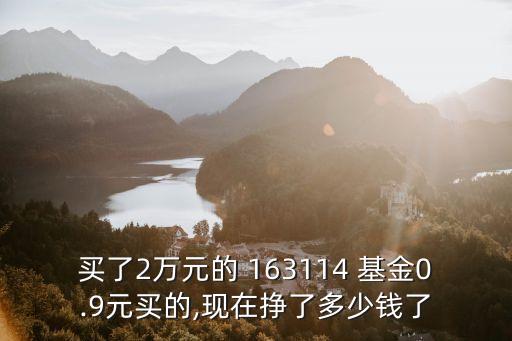 買了2萬元的 163114 基金0.9元買的,現在掙了多少錢了