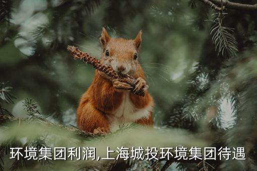上海環境集團利潤,上海城投環境集團待遇