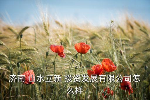 濟南 山水立新 投資發展有限公司怎么樣