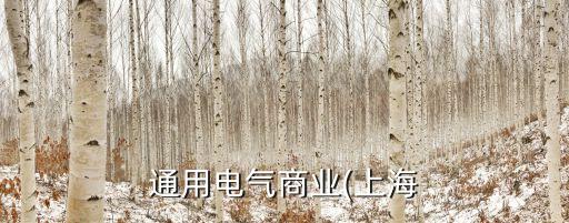 通用電氣商業(上海