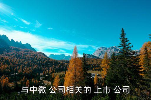 微電子行業上市公司,上海微電子供應商的上市公司