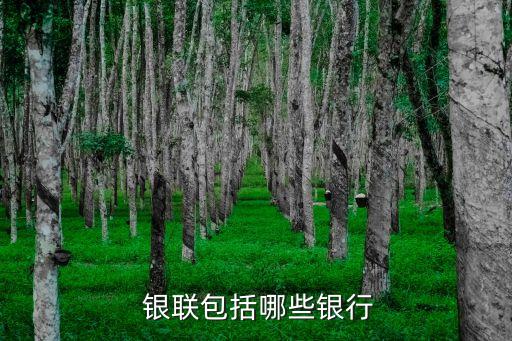  銀聯包括哪些銀行