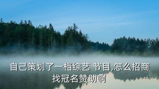 中國節目贊助商,節目贊助商要給多少錢