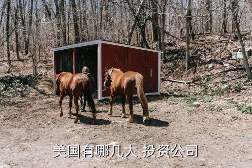 庸懇資產投資,凈經營資產凈投資